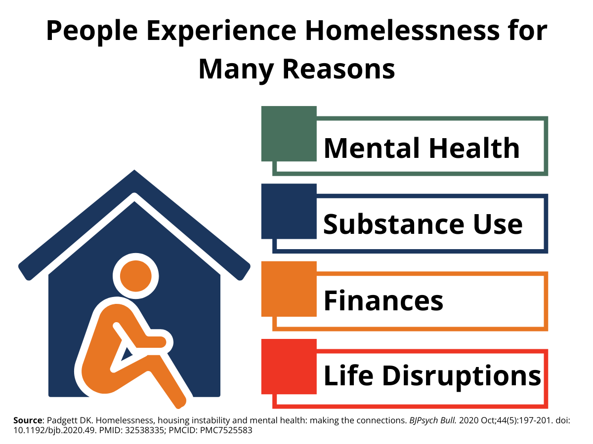 Graphic showing reasons that individuals experienec homelessness