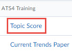 image of discussion board score options for a student in the following order: topic score(selected) and discussion board rubric