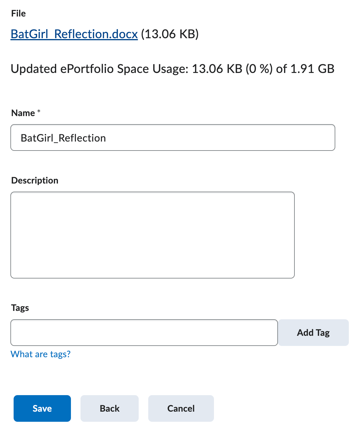 The upload a file page for adding an eportfolio item