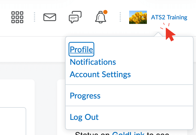 The profile and account settings area of the home page