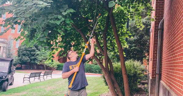 image for Campus arborist and grad student