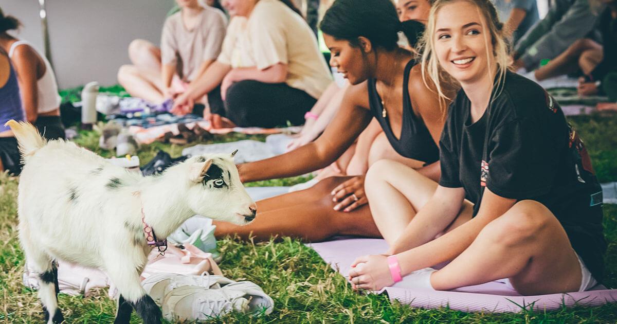 yoga with baby goats