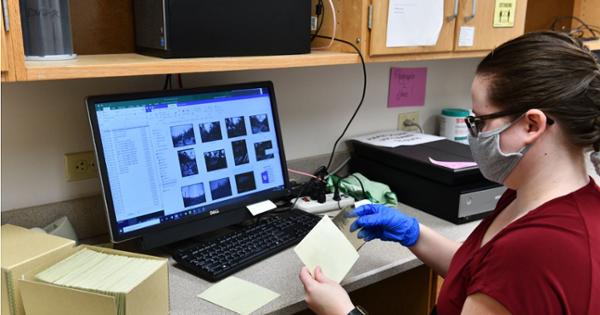 A archival studies student scans photographs in to a computer.