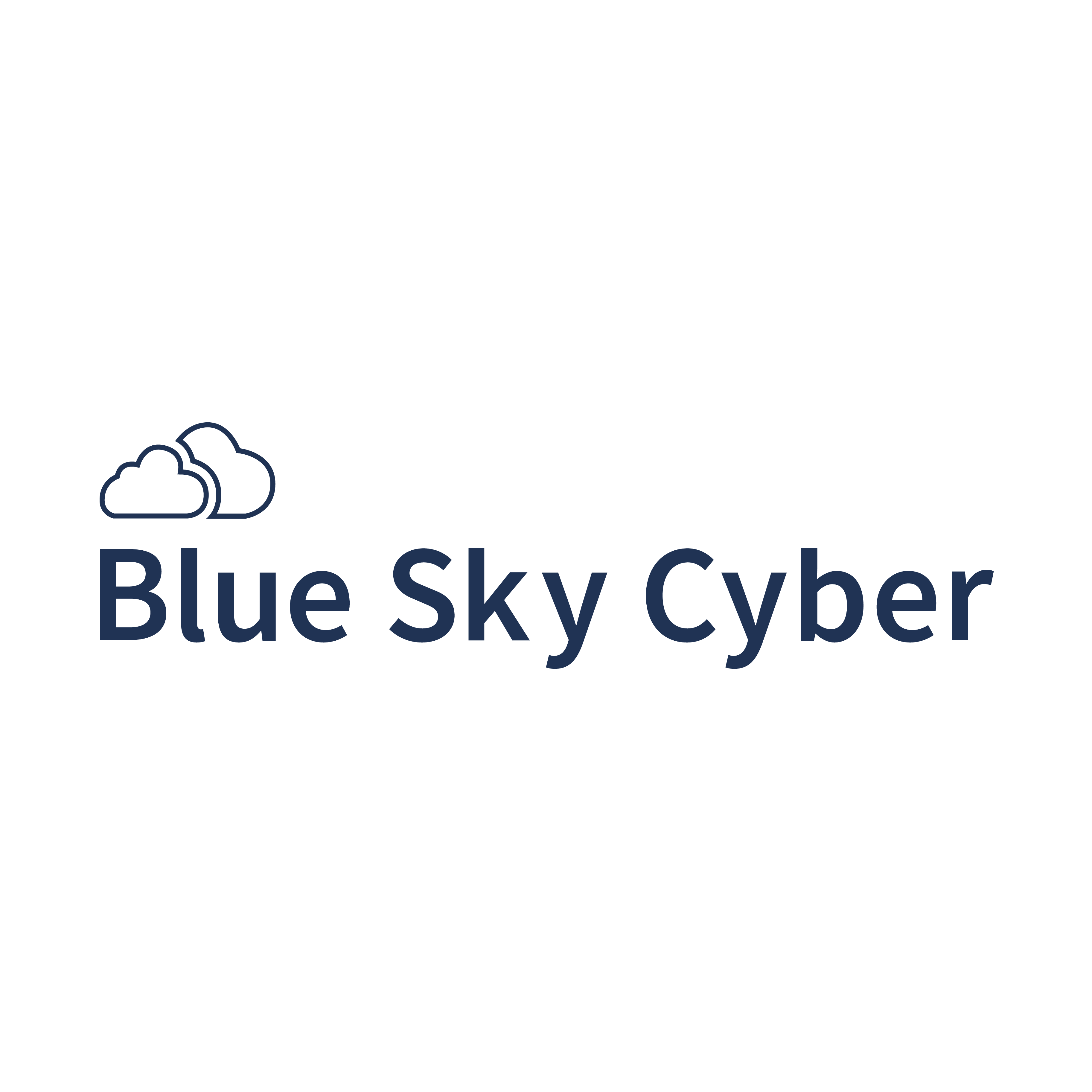 Blue Sky Cyber 