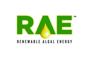 Renewable Algal Energy