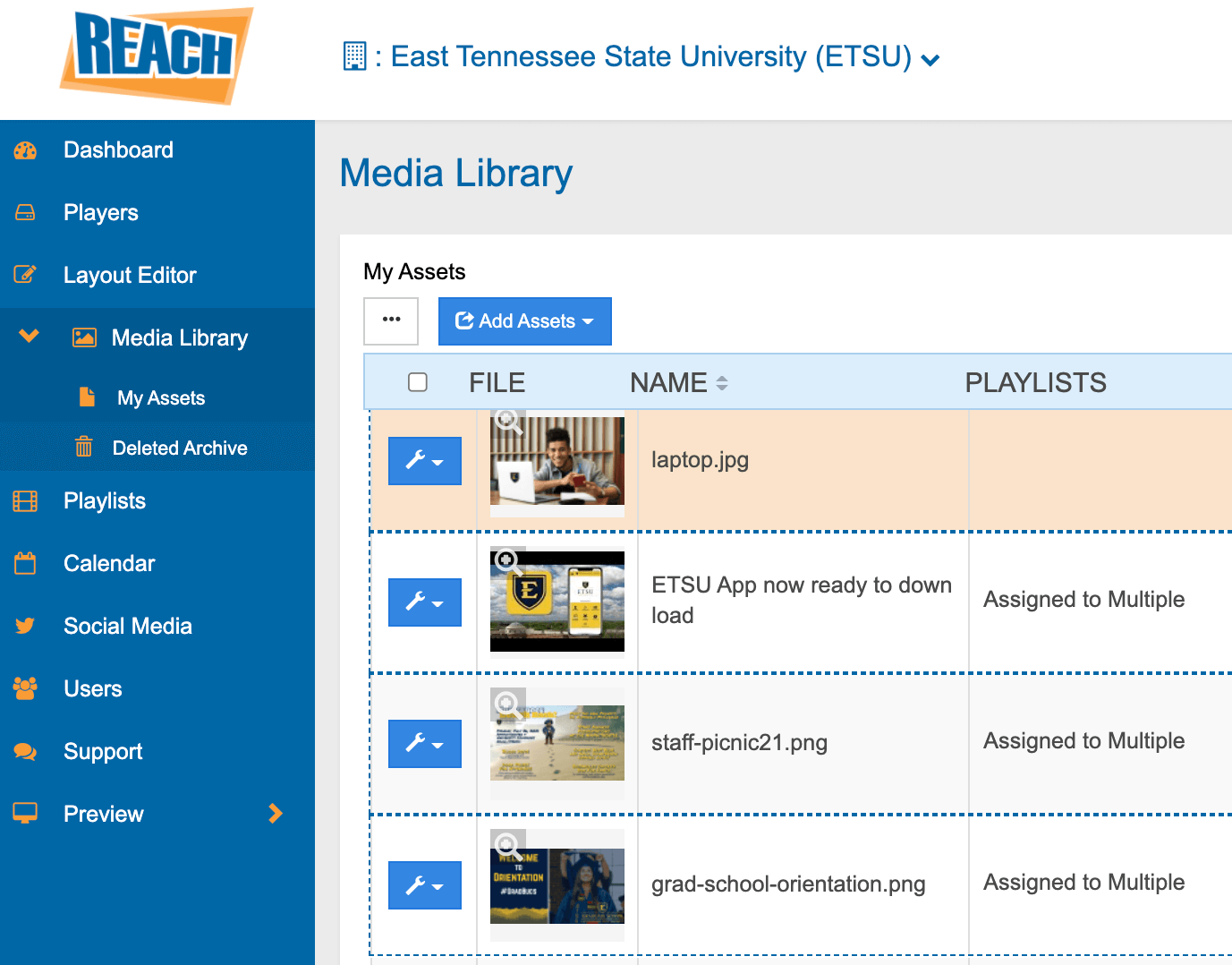 Screenshot of asset in Media Library