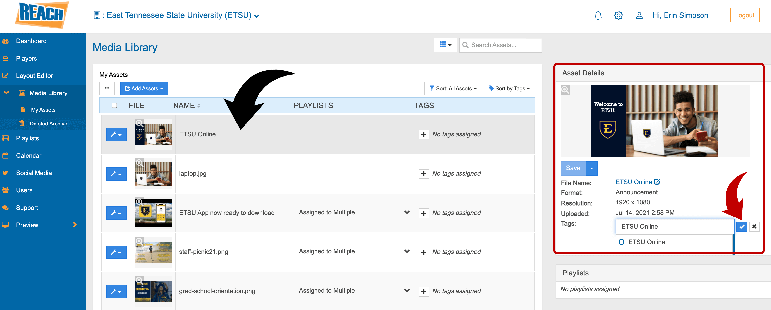 Screenshot of adding tags to an asset