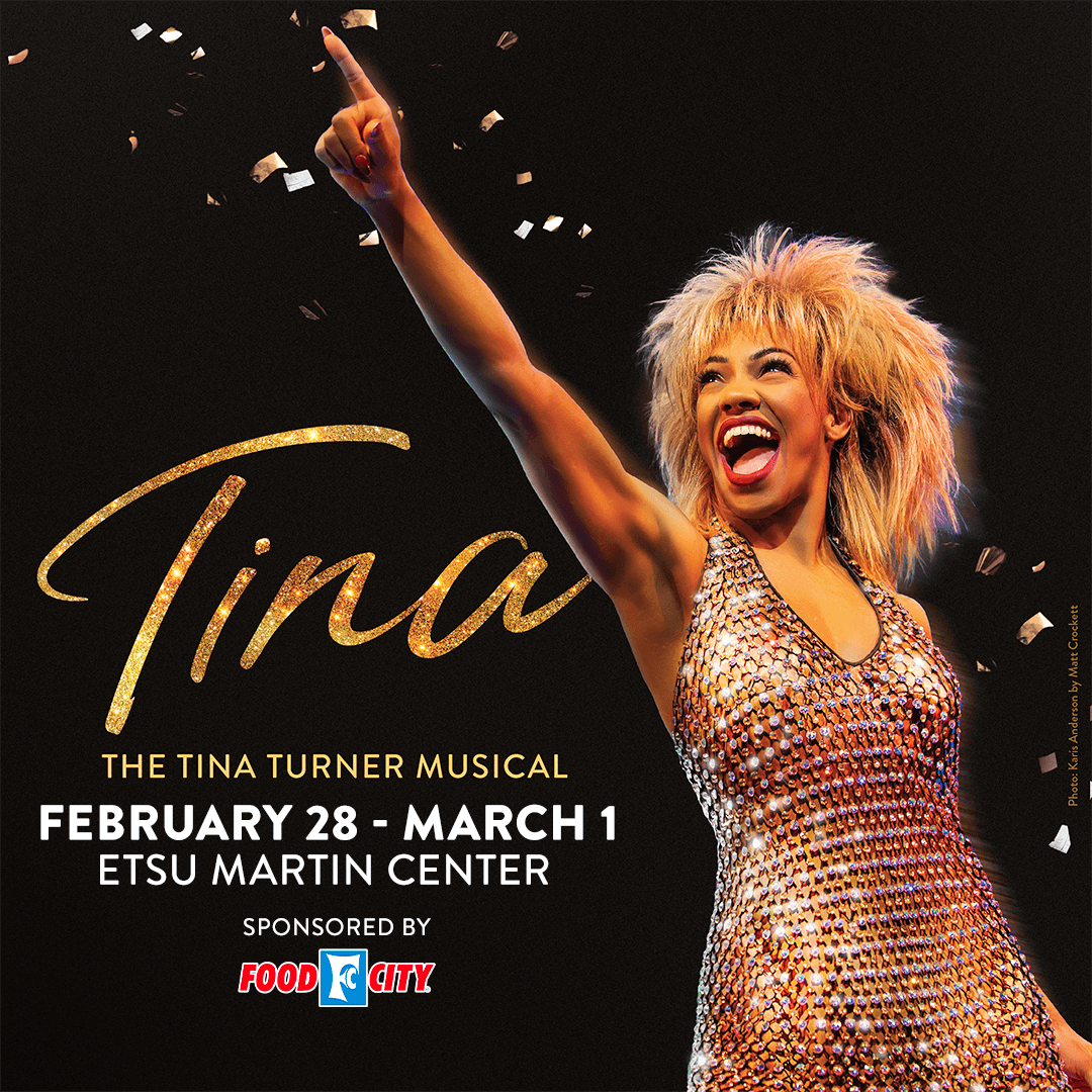 image for TINA - THE TINA TURNER MUSICAL