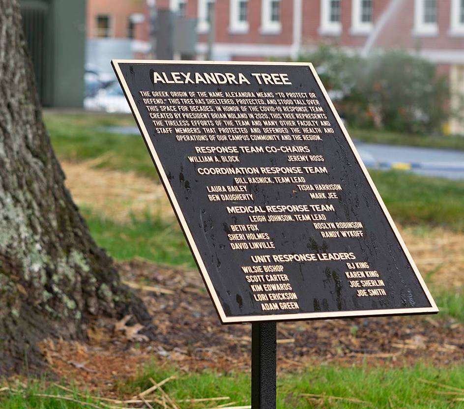Alexandra Tree