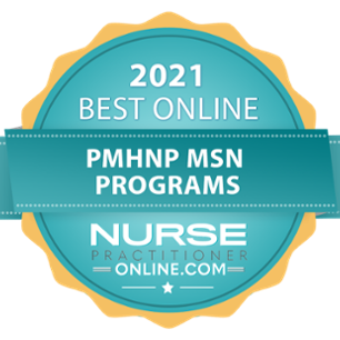 ETSU's Psychiatric and Mental Health Nurse Practitioner Program was ranked in the Top 10 programs by nursepractitioneronline.com.