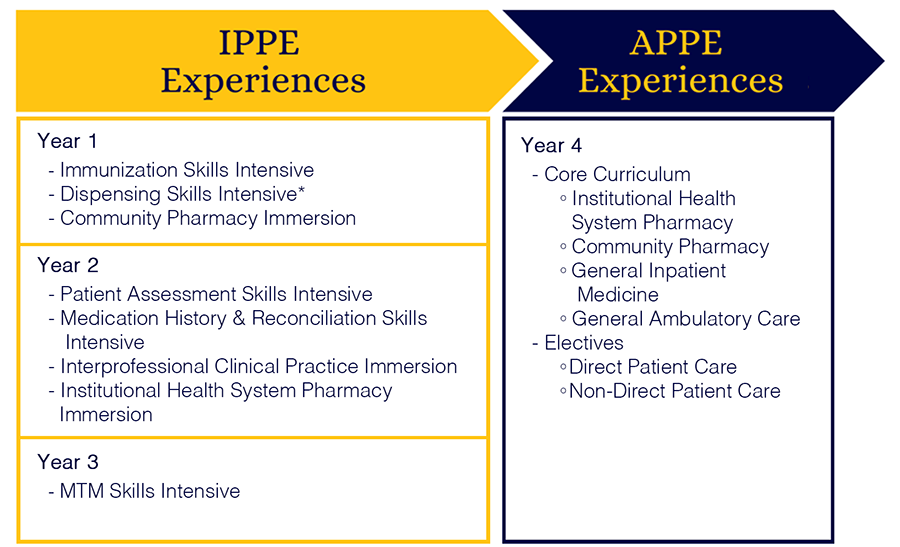 IPPE & APPE Experiences by year
