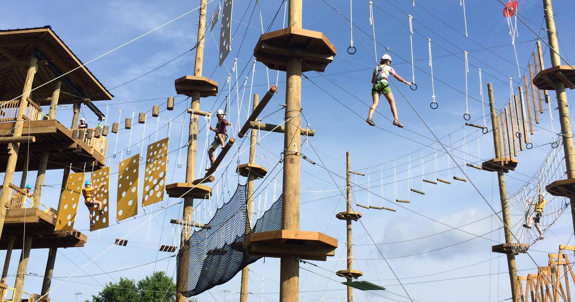image for BASLER AERIAL ADVENTURE AND TEAM CHALLENGE COURSE