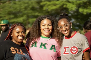 image for NATIONAL PAN-HELLENIC COUNCIL (NPHC)