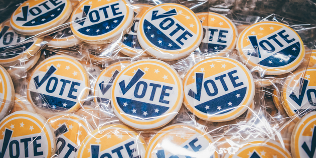 image for Advocacy and Civic Engagement