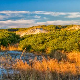 image for Unearthing Heritage on Cumberland Island
